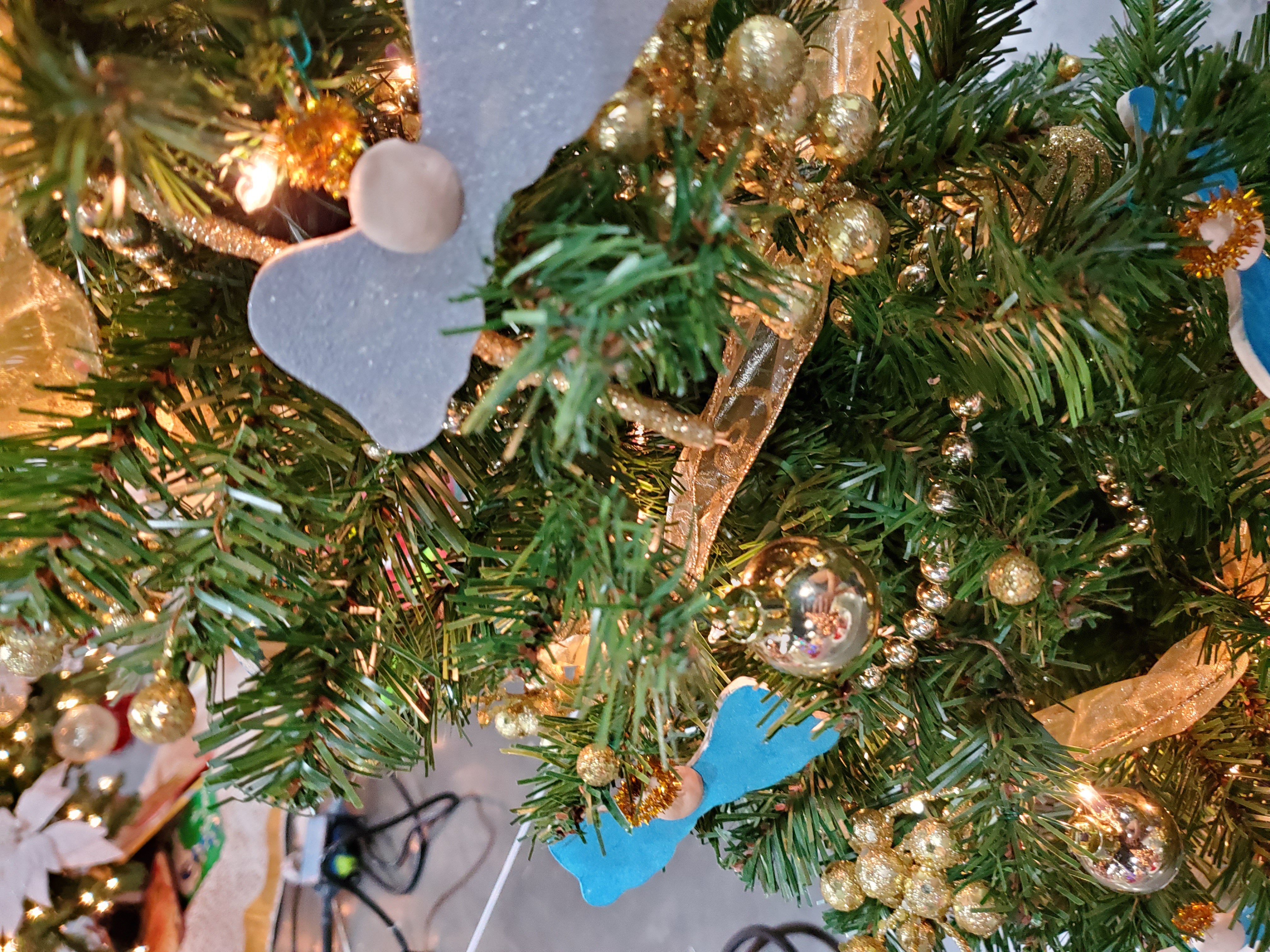 Zoomed in view of kindergarten tree